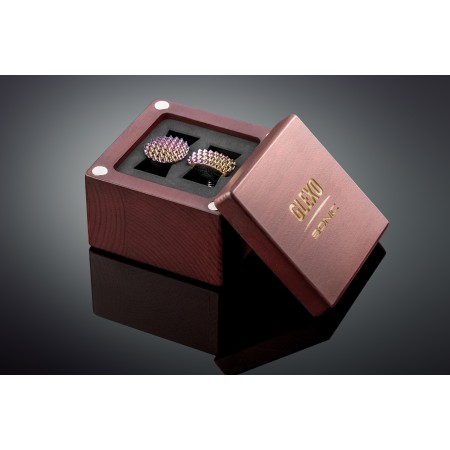 ENSEMBLE D'ASTUCES INTERCHANGEABLES GLEXO SONIC WB