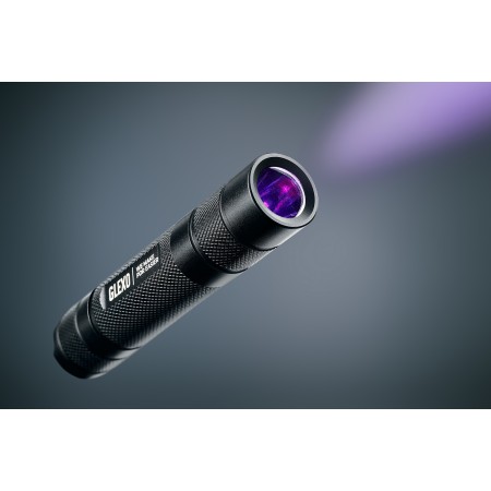 ENSEMBLE GLEXO MAGIC V2